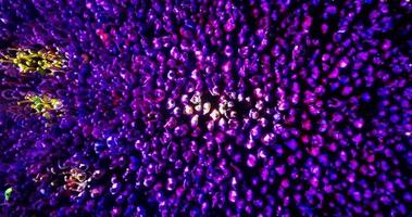una folla di persone a un concerto. punto di vista del drone video