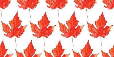 Watercolor bright maple leaf seamless pattern fall  autumn background vector