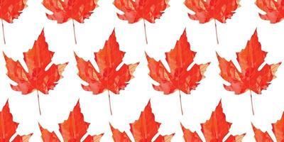 Watercolor bright maple leaf seamless pattern fall  autumn background vector