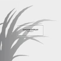 Plant shadow overlay effect on gray background vector