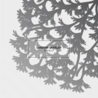 Plant shadow overlay effect on gray background vector