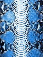 Snake skin background. Exotic blue reptile texture