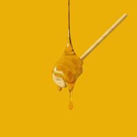 3D rendering Honey Drip and Honeycomb Background. photo