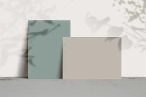 3d rendering, shadow overlay effect, various mock-ups photo