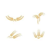 Wheat logo template vector