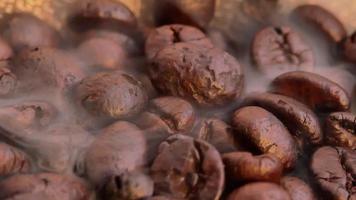 Close up Of Seeds of Coffee