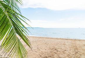 Palm y playa tropical en Pattaya en Tailandia foto