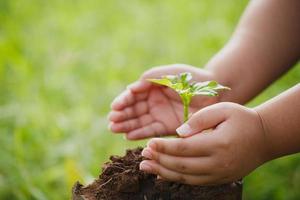 CSR concept and business planting saplings of trees. photo