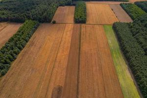 Vista aérea de los campos de la campiña polaca durante el verano foto