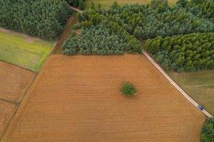 Vista aérea de los campos de la campiña polaca durante el verano foto