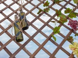 Two empty wine bottles and grape hanging on a decorative lattice photo