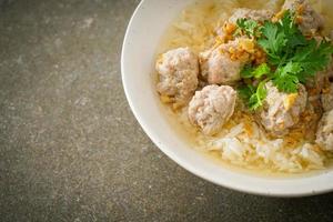 Boiled Rice with Pork Bowl photo