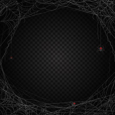 Spider Web Background Decoration