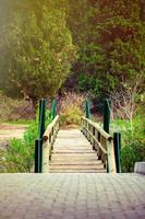 A Wooden Bridge Handmade Structure photo