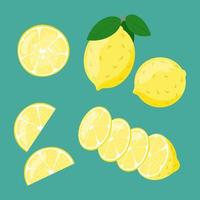 Lemon slices in cut isolated. Citrus fruit whole and sliced vector