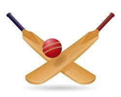 bat for playing cricket sport vector illustration