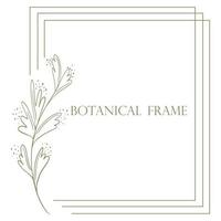 Rectangular triple frame with botanical element vector illustration