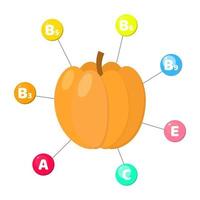 trace elements in colored circles. pumpkin vector