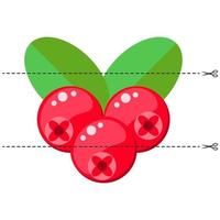 Cut the picture into pieces. Fold in the right order. cranberries vector