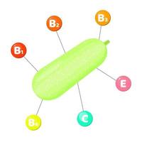 Infographics. vitamins contained in vegetables. Squash vector