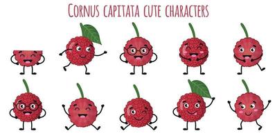 cornus capitata fruit lindos personajes divertidos con diferentes emociones vector