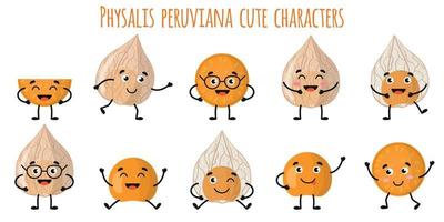 Physalis peruviana fruta lindos personajes divertidos con diferentes emociones vector