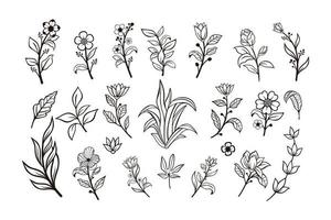 hermosa colección de vectores florales dibujados a mano