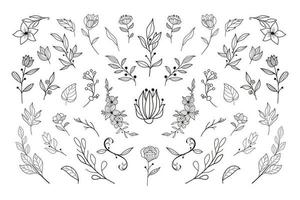 Beautiful hand drawn floral vector collection