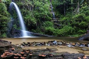 lun tha que cascada en chiang mai, tailandia foto