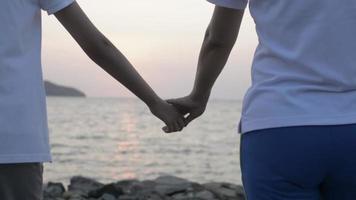 moeder en dochter lopen en hand in hand aan de kust video