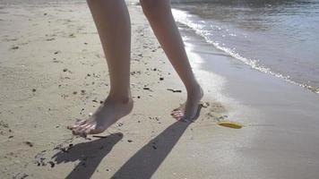 Young Girl Collecting Plastic Waste on The Sandy Beach video