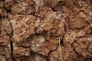 Cracked soil ground. Cracked soil texture or background photo