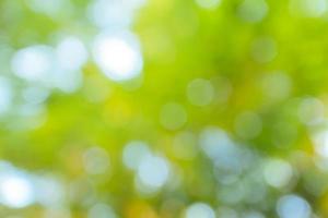 Green bokeh background. photo