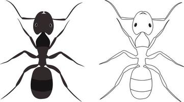 Ilustración de vector de hormiga o formicidae