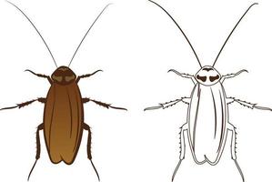 cucaracha o blattodea ilustración vectorial relleno y contorno