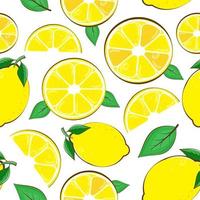 Seamless pattern lemon. Slices of citrus and leaf on white background vector