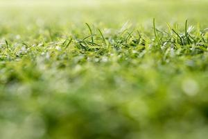 Plastic artificial grass of school yard by shallow depth of field photo