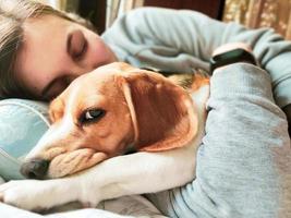 Girl and beagle dog sleep together. Girl hugs a dog. Home pet. Love. photo