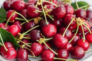 Fresh delicious red bright cherry berries torn in the summer garden photo