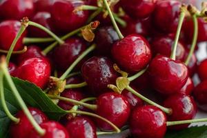 Fresh delicious red bright cherry berries torn in the summer garden photo