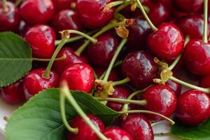 Fresh delicious red bright cherry berries torn in the summer garden photo
