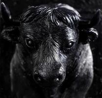 The figure of a bull made of soap as a gift photo