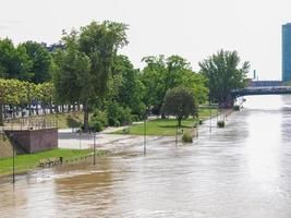 River Main flood in Frankfurt am Main photo