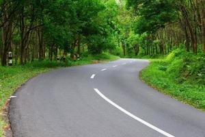 hermosa vista a la carretera y al árbol foto