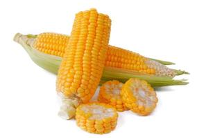 Sweet corn isolated on a white background