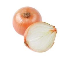 Onions isolated on a white background photo