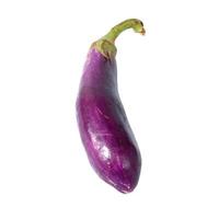Purple eggplant isolated on a white background photo