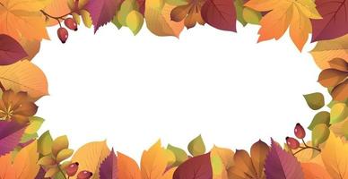 Realistic autumn foliage, white background with space for text vector