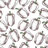 vintage peppers on white background. Seamless vintage style pattern vector