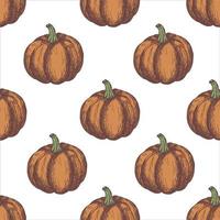 Vector hand drawn sketched pumpkin seamless pattern